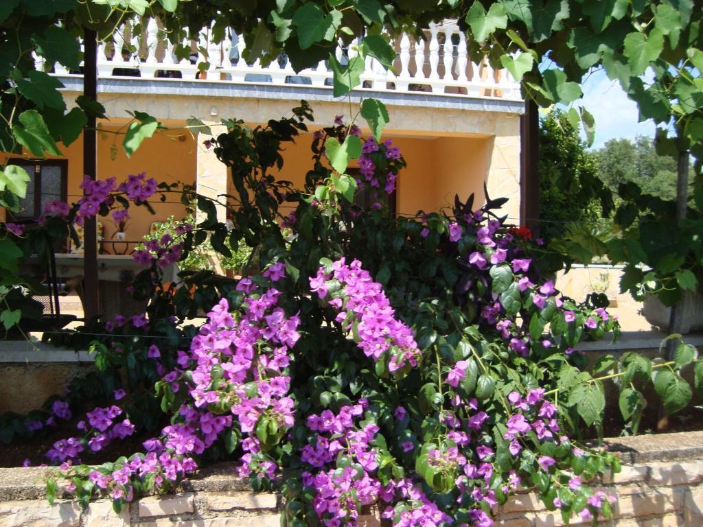 Apartments Alice Green Oasis - Πόρετς Δωμάτιο φωτογραφία